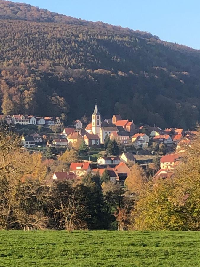 Gite L'Instant Durable Oberbronn Zewnętrze zdjęcie