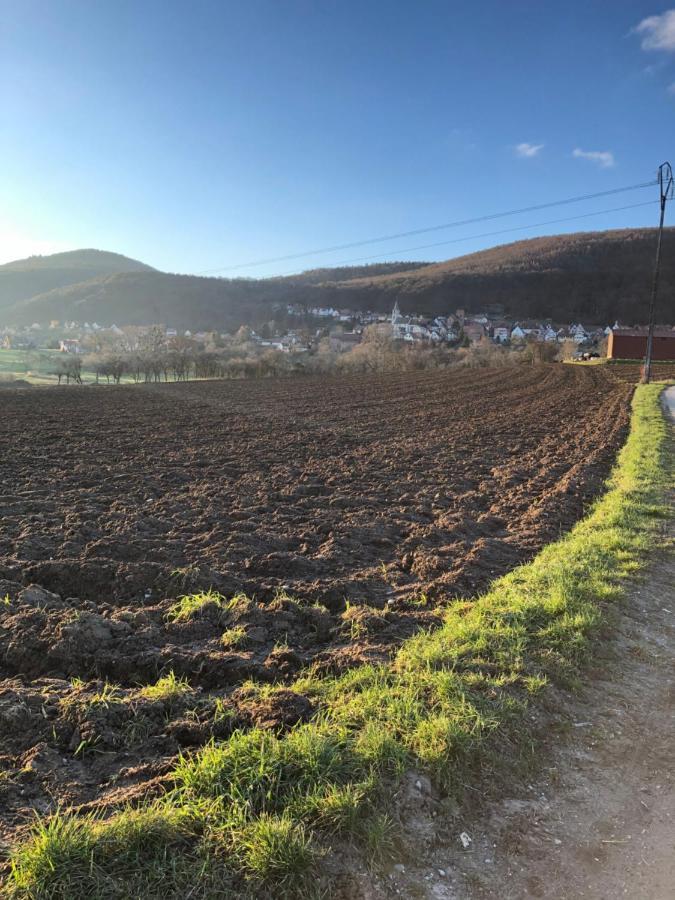 Gite L'Instant Durable Oberbronn Zewnętrze zdjęcie