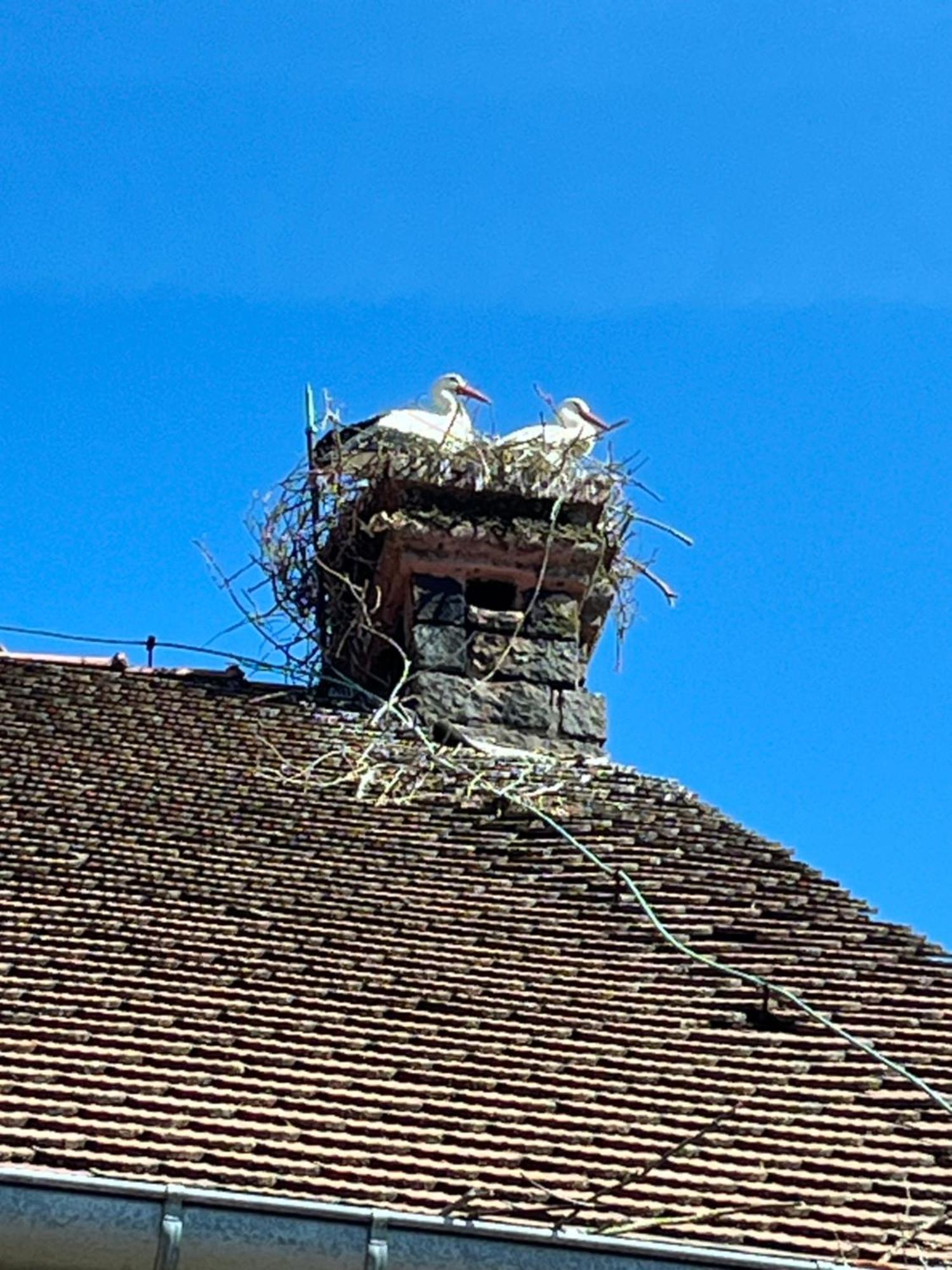 Gite L'Instant Durable Oberbronn Zewnętrze zdjęcie