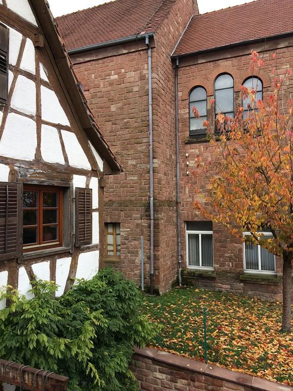Gite L'Instant Durable Oberbronn Zewnętrze zdjęcie