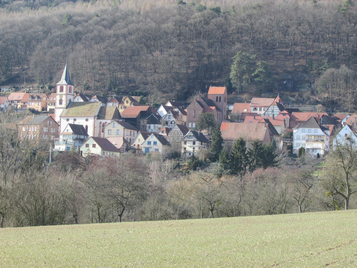Gite L'Instant Durable Oberbronn Zewnętrze zdjęcie
